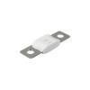 MEGA-fuse 40A/80V (package of 5 pcs)